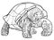 Turtle. Linear black and white vector