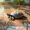 Turtle meanders across tiled surface, shell shining in soft light