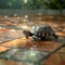 Turtle meanders across tiled surface, shell shining in soft light