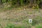 Turtle nesting site in Florida