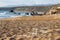 Turtle nests on Lara beach. Akamas, Cyprus