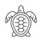 turtle ocean line icon vector illustration