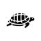 turtle pet glyph icon vector illustration