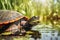 Turtle pokes its head out of the water,pond, sideview, Generated AI