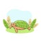 Turtle resting on lawn. Relaxed old animal with green shell dozing calmly in sunny.