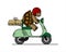 Turtle is riding a scooter; slow delivery; cute turtle in a helmet carries boxes on a moped; cardboard boxes; symbol of slowness;