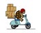 Turtle is riding a scooter. Slow delivery. A cute turtle in a helmet carries boxes on a moped. Signs on cardboard boxes. Symbol of