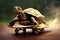 Turtle riding skateboard on blurred background