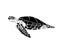 Turtle silhouette. Side view. Flowing.