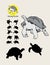 Turtle Silhouettes and Logo