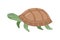 Turtle slow moving reptile, tortoise