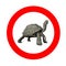 Turtle speed limit