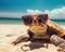 Turtle in sunglasses on the seashore.