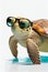 Turtle with sunglasses on a white background. AI Generated