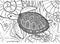 Turtle swim, coloring page with shells, starfish and seaweed