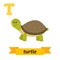 Turtle. T letter. Cute children animal alphabet in vector. Funny