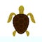 Turtle top view. Vector illustration.