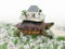 Turtle with toy house from paper real estate business concept