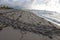 Turtle Tracks on the Beach