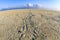 Turtle tracks on a beach, Heron Island, Queensland, Australia