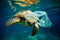 Turtle trapped in plastic garbage floating in the North Pacific, underwater photography.