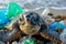 Turtle among trash on the seashore