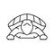 turtle tropical line icon vector illustration