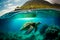 Turtle under water on the background of the island. Diving scene of turtle undersea.