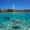 Turtle underwater with coastline and lighthouse