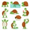 Turtle vector cartoon seaturtle character swimming in sea and sleeping tortoise in tortoise-shell illustration set of