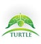 Turtle wildlife, preservation vector