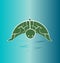 Turtle wildlife, preservation vector