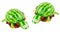 Turtles carved from a watermelon