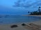 Turtles during Dawn at Poipu Beach on Kauai Island in Hawaii.