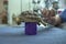 Turtles are Exotic Pets. Sulcata Tortoise or African spurred tortoise are in the veterinary examination room