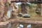 Turtles near a cage at the zoo during daytime