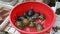 Turtles in a red bowl half full of water at a fish market in China trying to escape