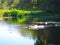 Turtles rest on a log, along the bank of a florida river