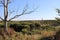 Tuscan country near Orbetello , Italy. sunny afternoon