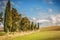 Tuscan country roads with Cypresses