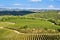 Tuscan fields, vineyards and woods