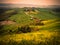 Tuscan hilly landscape at sunset