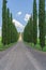 Tuscan Landscape, Cypress Alley of Agriturismo Covili, the Farmhouse Poggio Covili in Tuscany, Italy