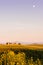 The Tuscan Landscape, Vitaleta chapel Church