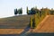 Tuscan landscape on a warm September morning. Italy