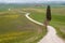 Tuscan roads