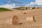 Tuscan rural landscape