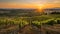 Tuscan Splendor: Captivating  Sunset over Vineyards