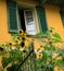 Tuscan villa with sunflowers Tuscany