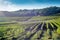 Tuscan vineyard early autumn with small stone hut 2